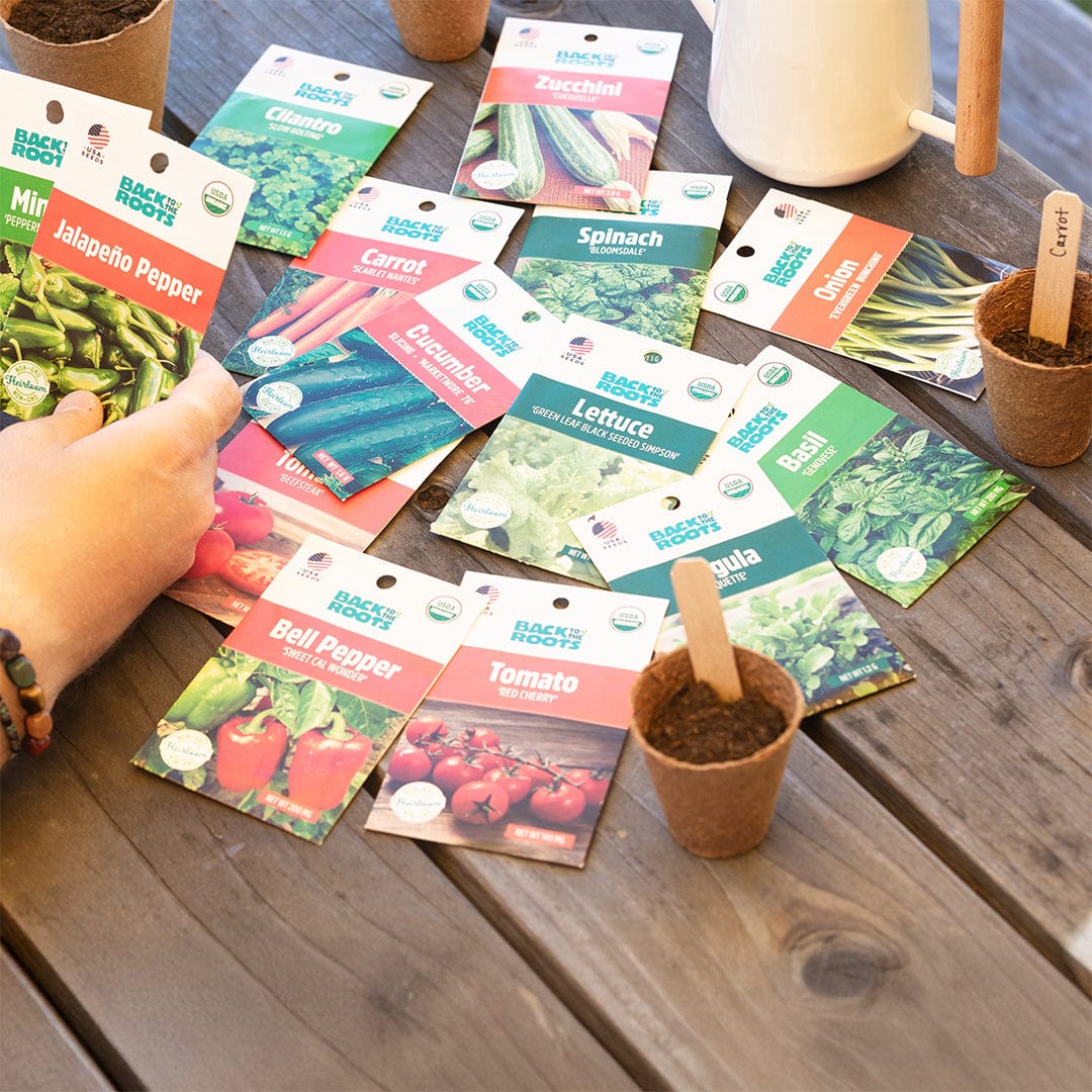 Back to the Roots seed packets and biodegradable pots with soil on a wooden table.