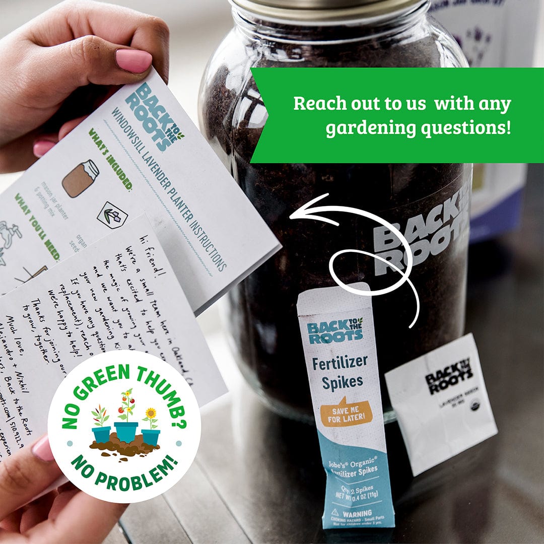 Hand holding Organic Sunflower Grow Kit instructions with fertilizer spikes and soil jar in background. - Organic Sunflower Windowsill Grow Kit 🌻 - Default Title - Back to the Roots