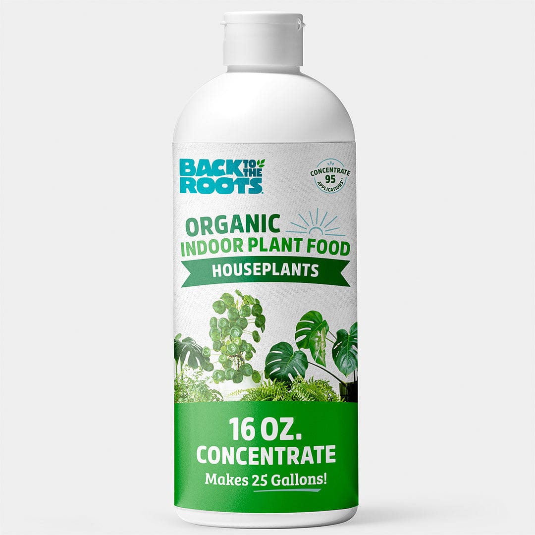 A white bottle of Back to the Roots Organic Indoor Houseplant Plant Food (16 oz. Concentrate, makes 25 gallons) displays green plant illustrations and emphasizes safe, non-toxic nourishment for healthy indoor plants.
