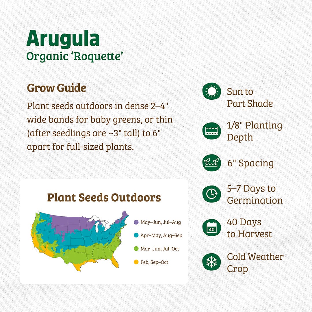 Organic arugula seed packet with planting instructions and a colorful U.S. planting zone map. - Organic Arugula Seeds — 'Roquette' - Default Title - Back to the Roots