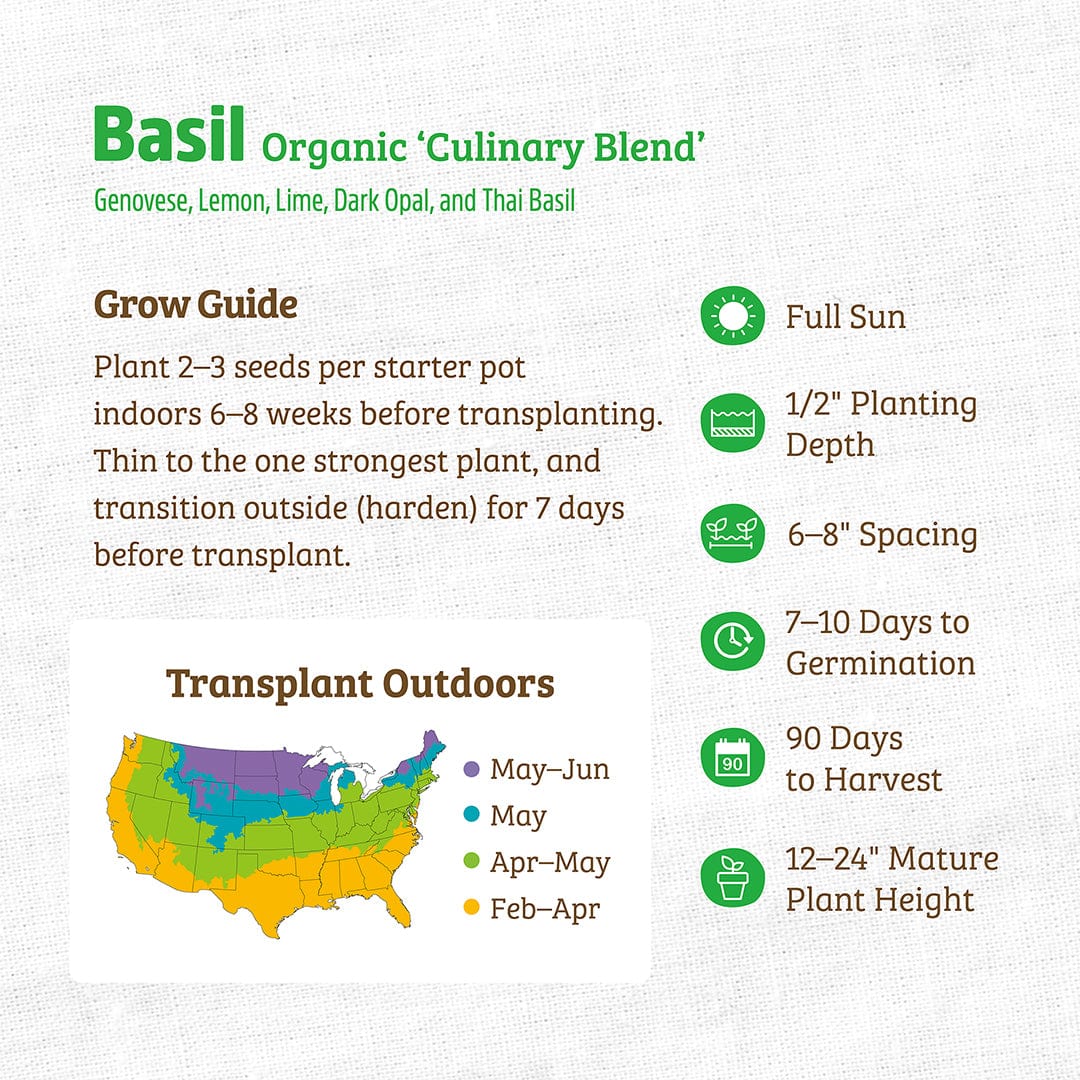 Organic basil seed packet with planting guide, full sun requirements, and transplant timeline map. - Organic Basil Seeds — 'Culinary Blend' - Default Title - Back to the Roots