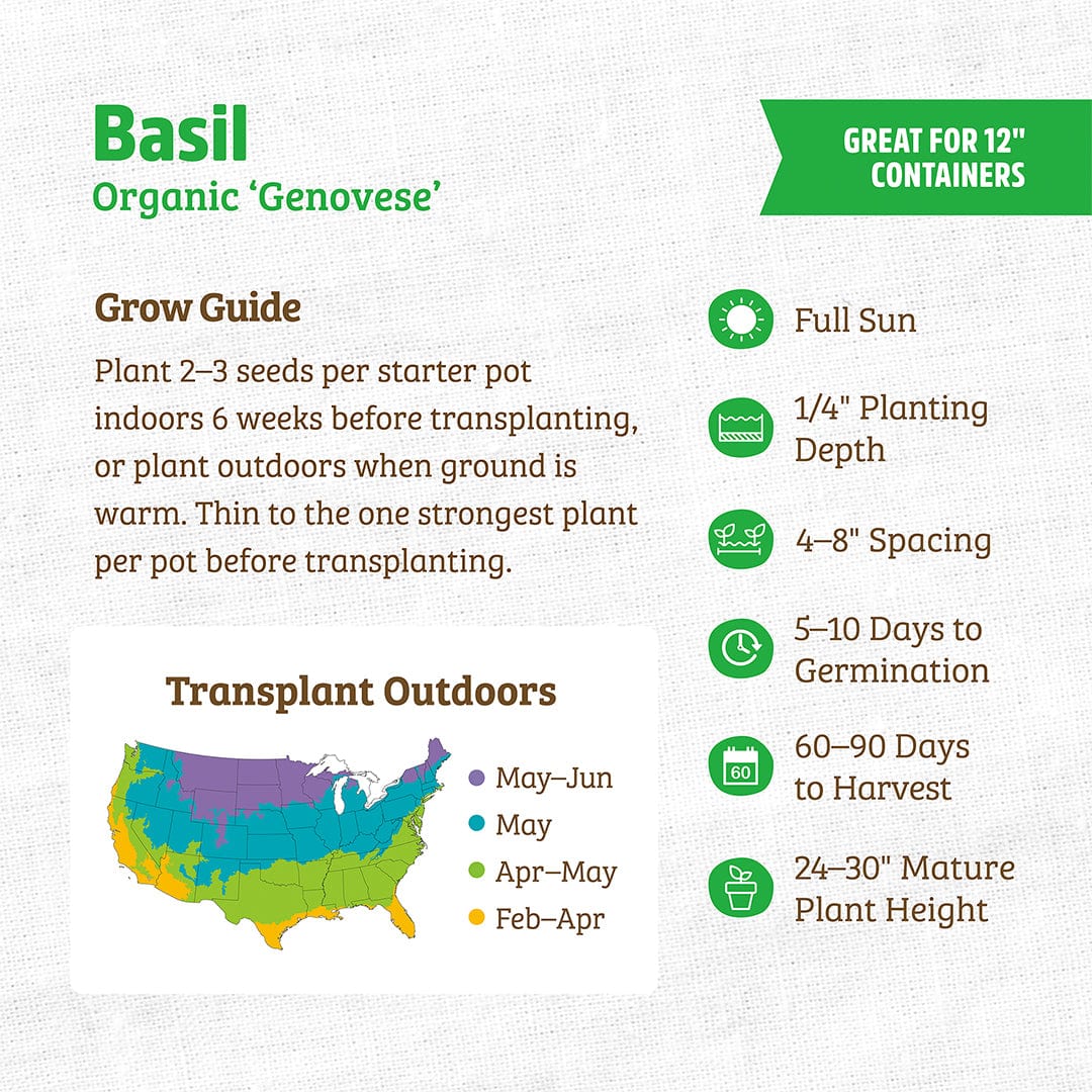 Basil seed packet with organic Genovese variety, detailed planting and transplanting guide, colorful growing zone map, and. - Organic Basil Seeds — 'Genovese' - Default Title - Back to the Roots