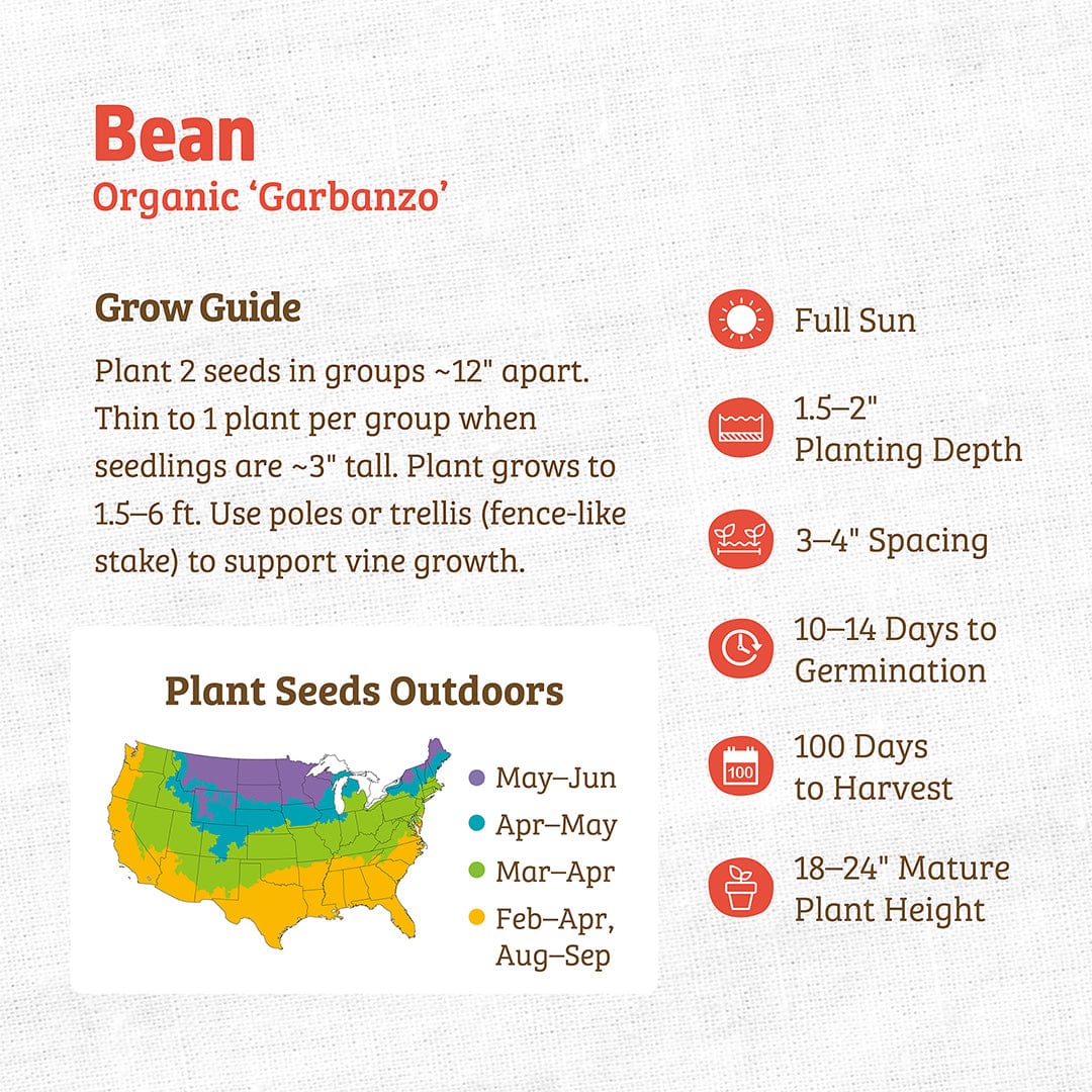 Organic garbanzo bean seed packet with planting guide, growing zones map, and care instructions in red text on beige. - Organic Bean Seeds — 'Garbanzo' - Default Title - Back to the Roots