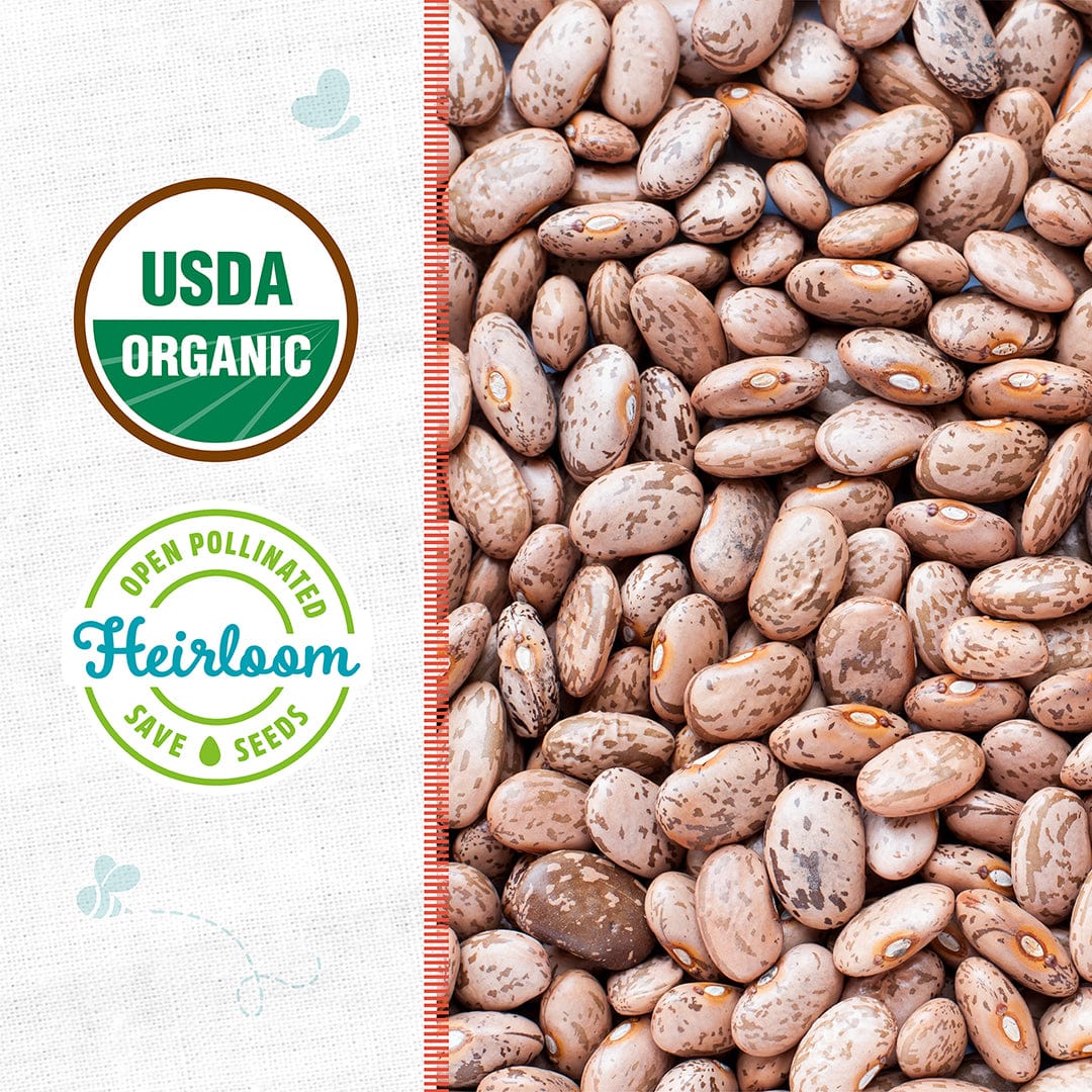 Close-up of speckled beige and brown pinto bean seeds with USDA Organic and Heirloom labels on the side. - Organic Bean Seeds — 'Pinto' - Default Title - Back to the Roots
