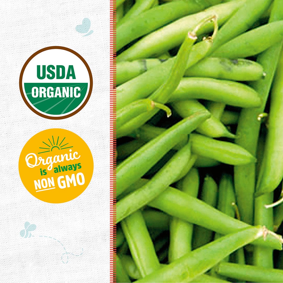 Close-up of Back to the Roots Organic Bean Seeds — 'Tendergreen Bush' with USDA Organic and Non-GMO certification labels shown on the left side.