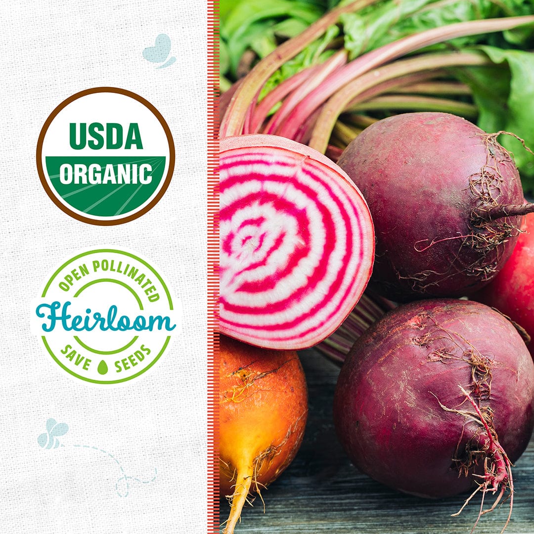 Organic Chioggia beet seeds package showing whole and sliced beets with pink and white rings on wood background. - Organic Beet Seeds — 'Chioggia' - Default Title - Back to the Roots