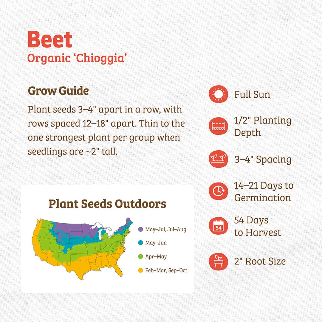 Organic Chioggia beet seeds packet with planting guide and regional planting map. - Organic Beet Seeds — 'Chioggia' - Default Title - Back to the Roots