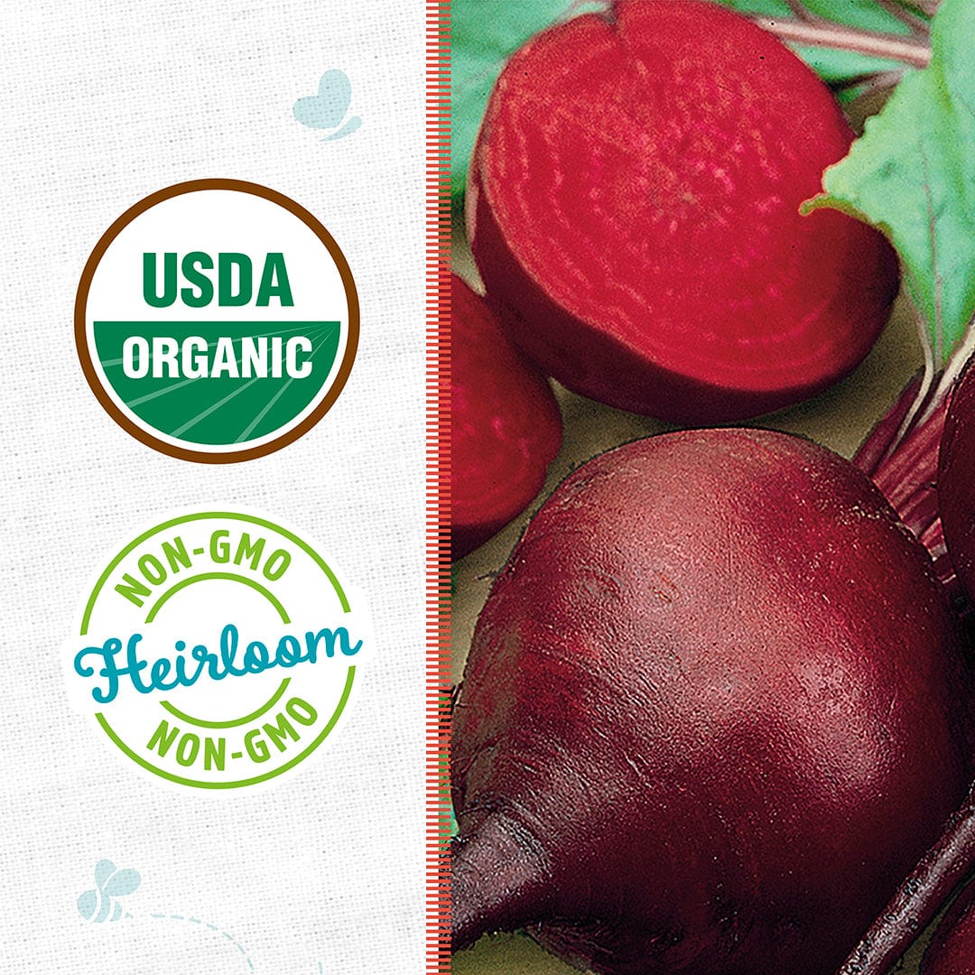 Two dark red beets with leafy green tops, one beet sliced to show bright red interior, USDA organic and non-GMO heirloom. - Organic Beet Seeds — 'Detroit Dark Red' - Default Title - Back to the Roots