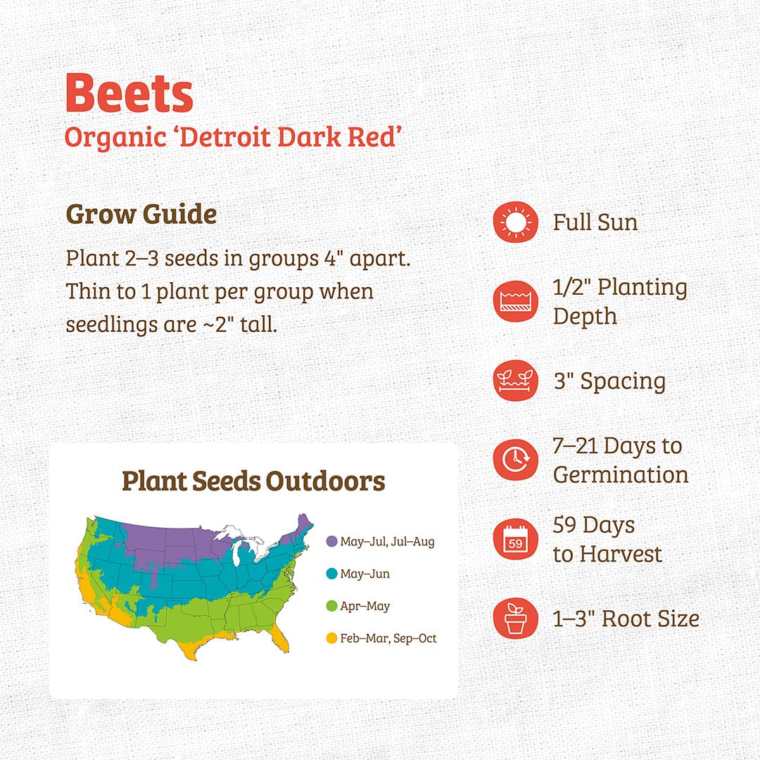 Organic Beet Seeds ‘Detroit Dark Red’ labeled packet with growing guide and planting instructions on white background. - Organic Beet Seeds — 'Detroit Dark Red' - Default Title - Back to the Roots