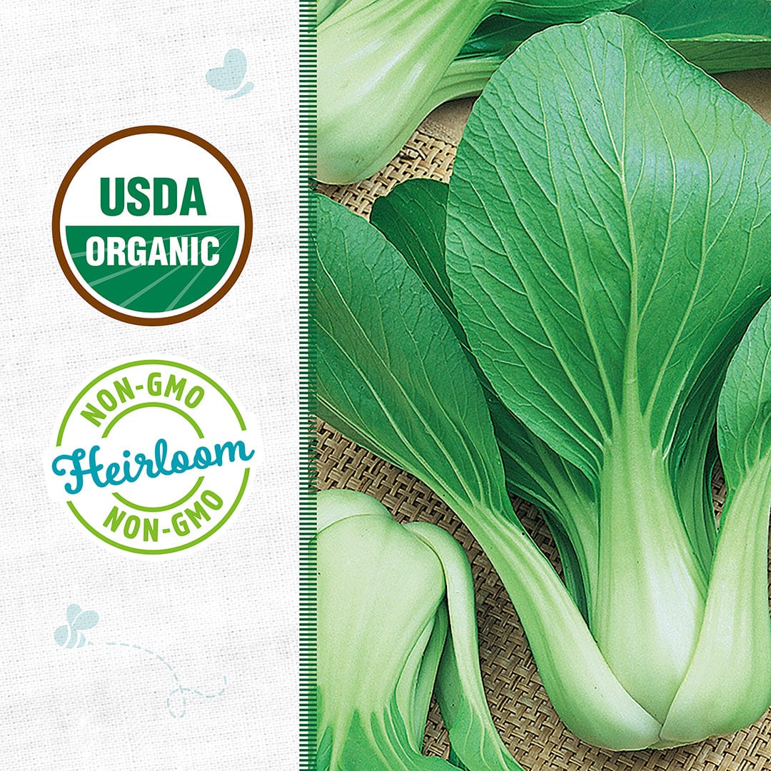 Back to the Roots Organic Bok Choy Seeds — 'White Stem', a top Asian green, are displayed in a basket beside USDA Organic and Non-GMO Heirloom certification logos.
