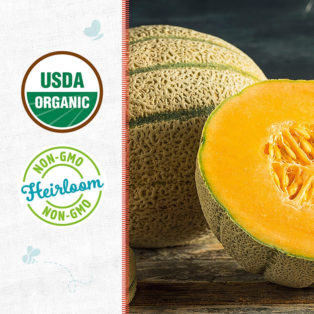Halved cantaloupe melon showing orange flesh and netted rind with USDA Organic and Non-GMO labels on side panel. - Organic Cantaloupe Seeds — 'Hale's Best Jumbo Melon' - Default Title - Back to the Roots