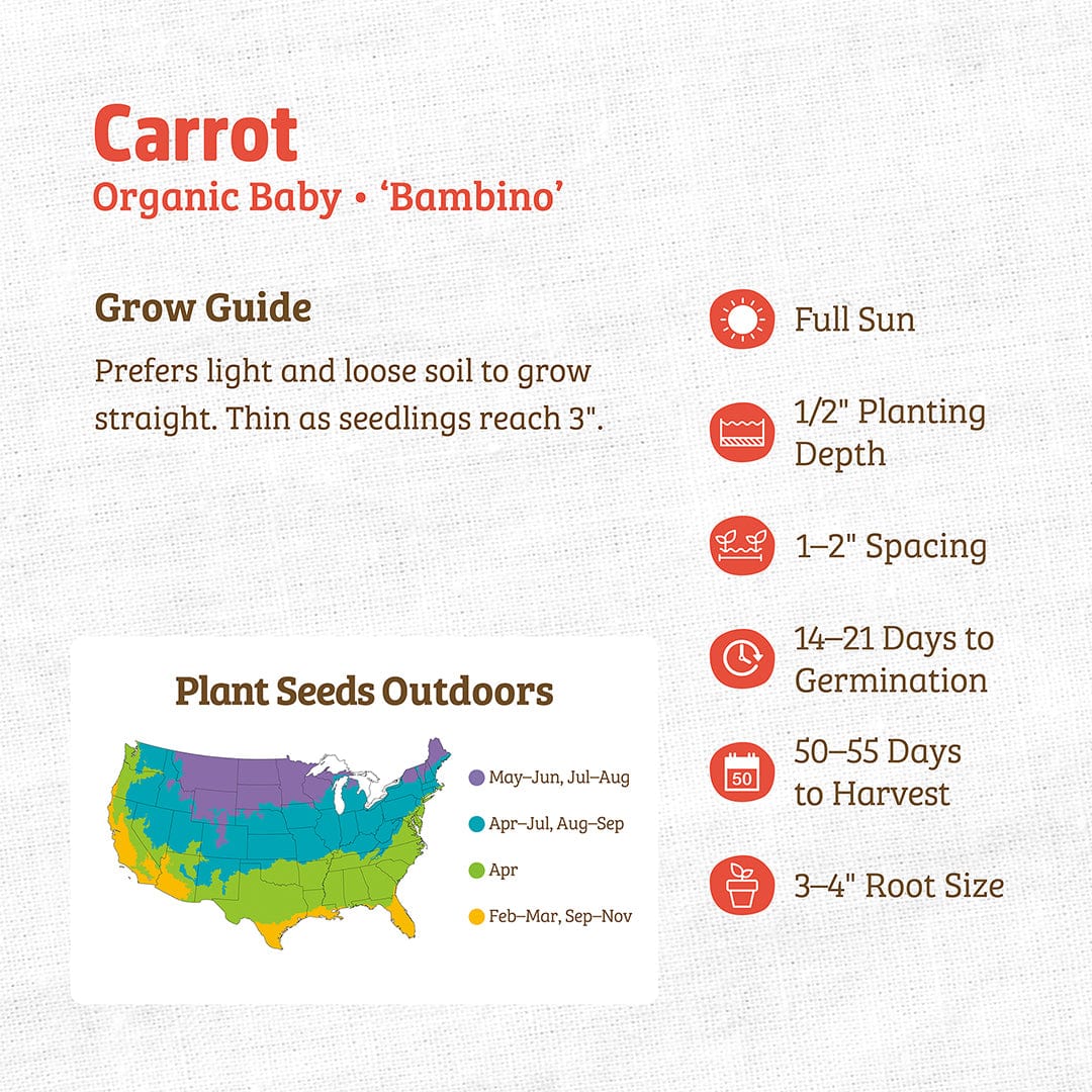 Organic Baby Bambino carrot seed packet with planting guide and growth tips on a white background. - Organic Carrot Seeds — 'Baby Bambino' - Default Title - Back to the Roots