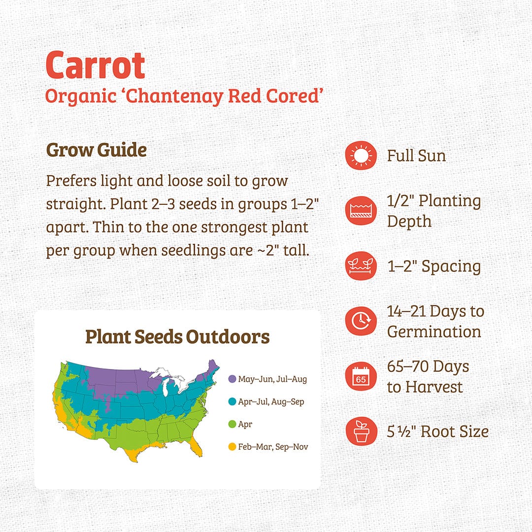 Back to the Roots Organic Carrot Seeds — 'Chantenay Red Cored': growing guide covers planting depth, spacing, germination, and harvest tips. Includes a US map for outdoor planting times by region—ideal for your vegetable garden.