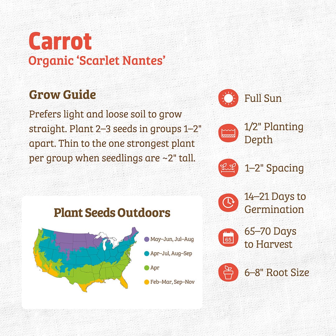 Organic Scarlet Nantes carrot seeds planting guide with growing tips and US planting map. - Organic Carrot Seeds — 'Scarlet Nantes' - Default Title - Back to the Roots