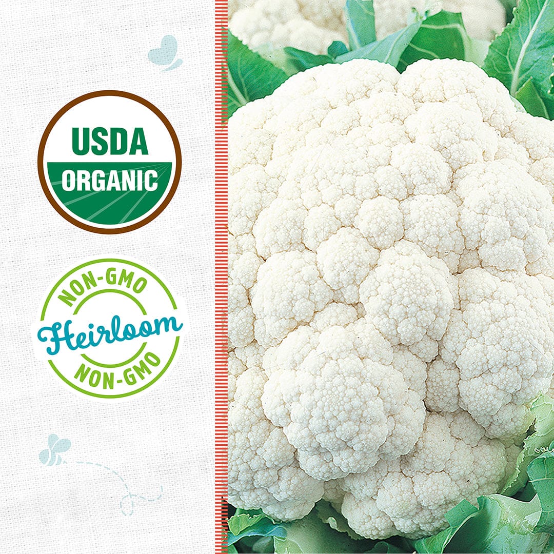 Organic white cauliflower head surrounded by green leaves with USDA Organic and Non-GMO badges on the side. - Organic Cauliflower Seeds — 'Snowball Y' - Default Title - Back to the Roots
