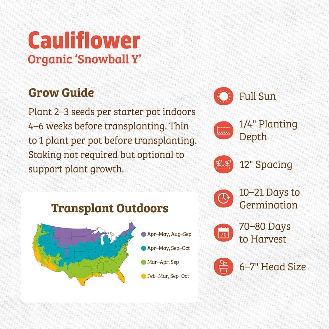 Organic Snowball Y cauliflower seed packet with growing instructions and US transplant map. - Organic Cauliflower Seeds — 'Snowball Y' - Default Title - Back to the Roots