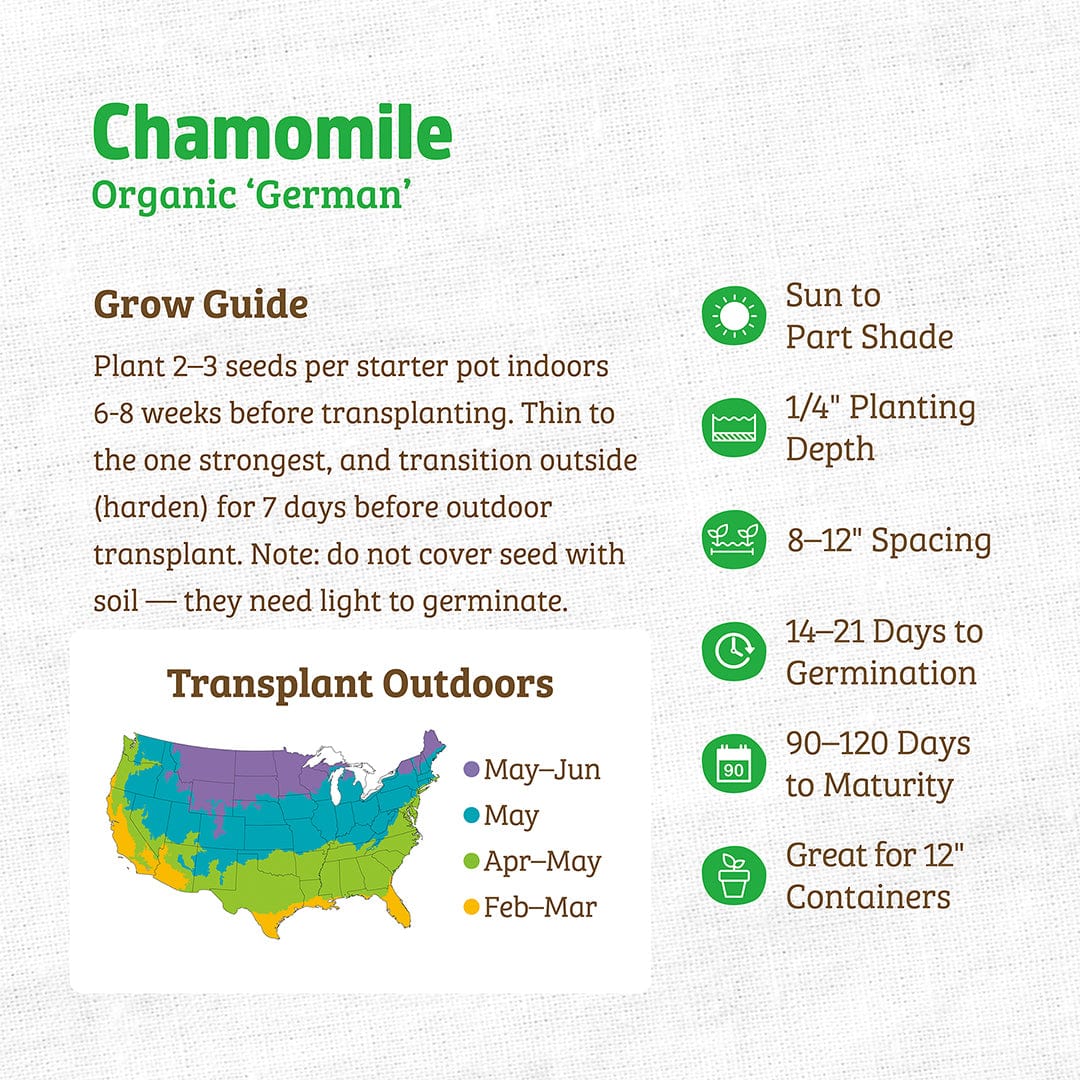 Back to the Roots Organic Chamomile Seeds—'German': Includes a detailed growing guide, regional outdoor transplant map, and icons for sun, depth, spacing, germination, maturity; suitable for 12" containers and perfect for organic gardening.