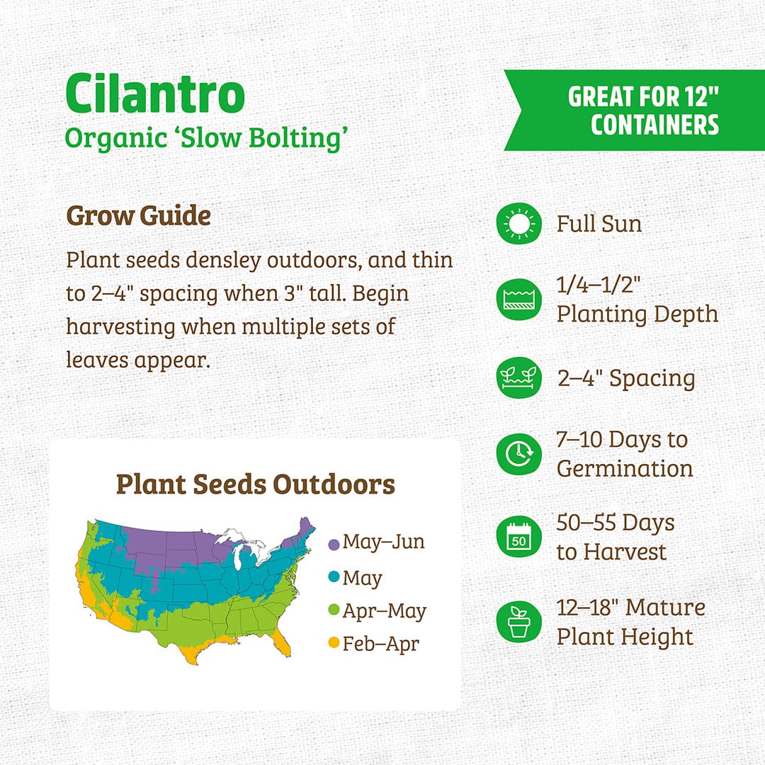 The Back to the Roots Organic Cilantro Seeds — 'Slow Bolting' guide includes sowing times by U.S. region, helpful icons for sunlight, spacing, germination, harvest & plant height, plus tips for cool-weather herb lovers. Perfect for growing cilantro!.