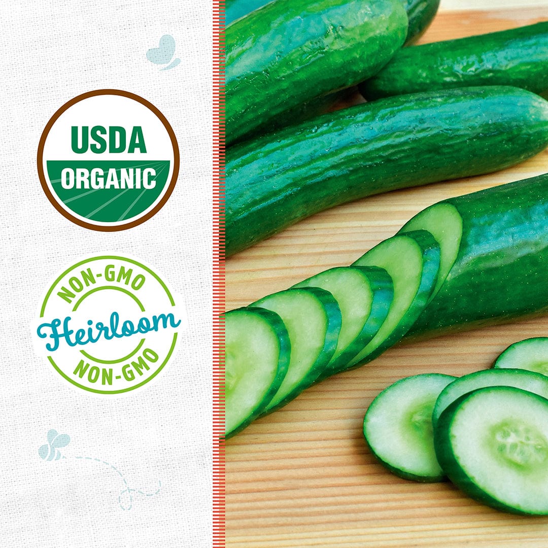 Fresh whole and sliced green cucumbers on a wooden surface with USDA Organic and Non-GMO labels visible. - Organic Cucumber Seeds — 'Slicing • Muncher' - Default Title - Back to the Roots