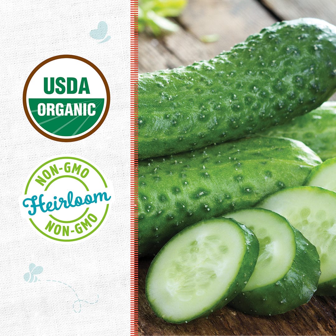 Organic pickling cucumbers with bumpy dark green skin and sliced rounds on wooden surface alongside USDA Organic and Non-GMO . - Organic Cucumber Seeds — 'Pickling • Sumter' - Default Title - Back to the Roots