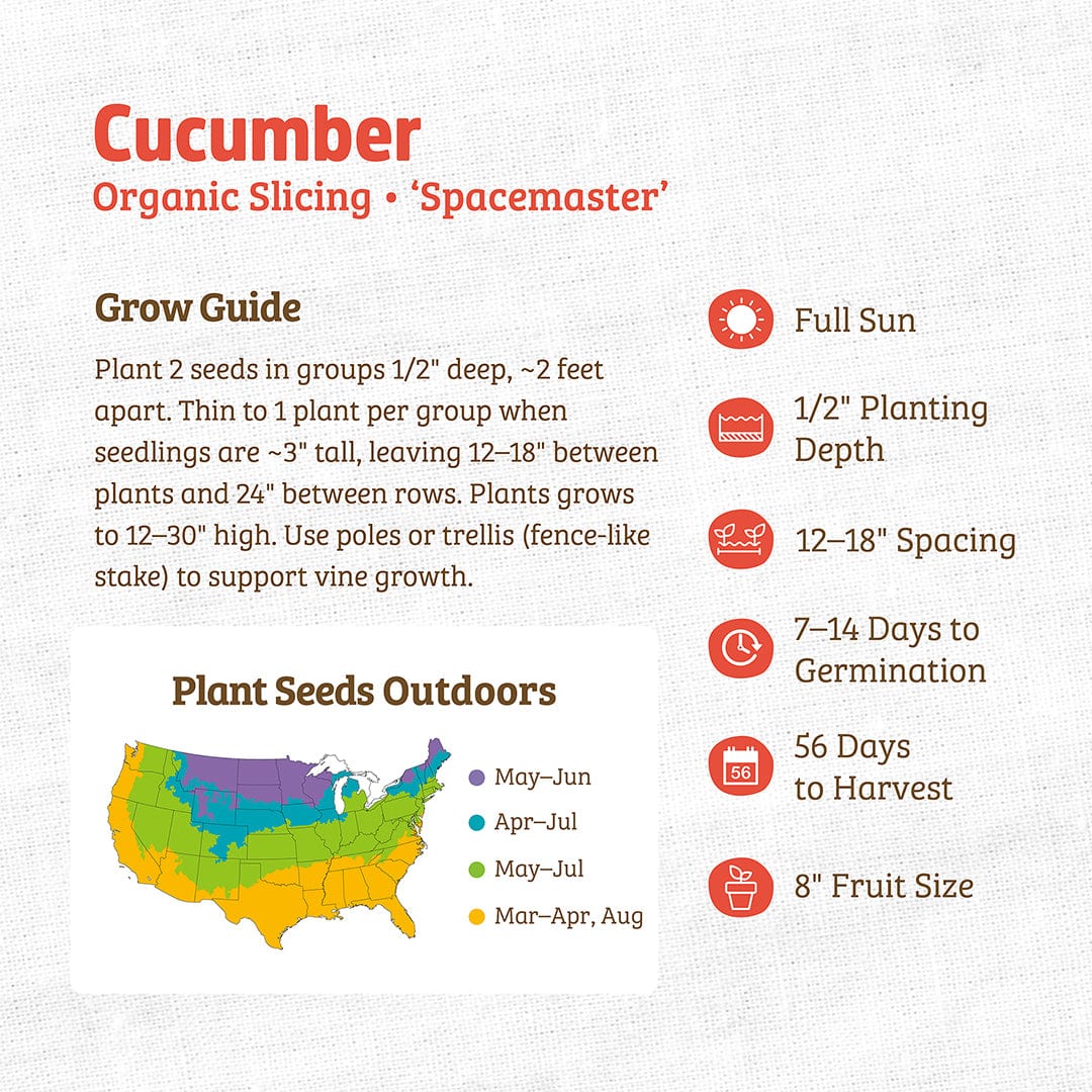 Organic slicing cucumber seed packet with planting guide and growing tips on back. - Organic Cucumber Seeds — 'Slicing • Spacemaster' - Default Title - Back to the Roots