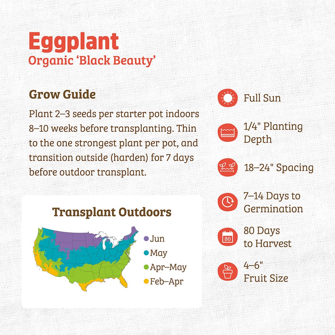 Back to the Roots Organic Eggplant Seeds 'Black Beauty' grow guide provides seed planting tips, a growth timeline, care instructions, and a color-coded U.S. transplant map for regional vegetable gardeners.