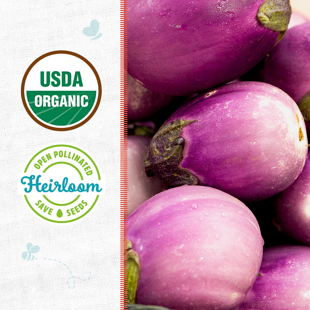 Bright purple Rosa Bianca eggplants clustered, showing smooth skin and green calyxes with USDA organic and heirloom seed. - Organic Eggplant Seeds — 'Rosa Bianca' - Default Title - Back to the Roots