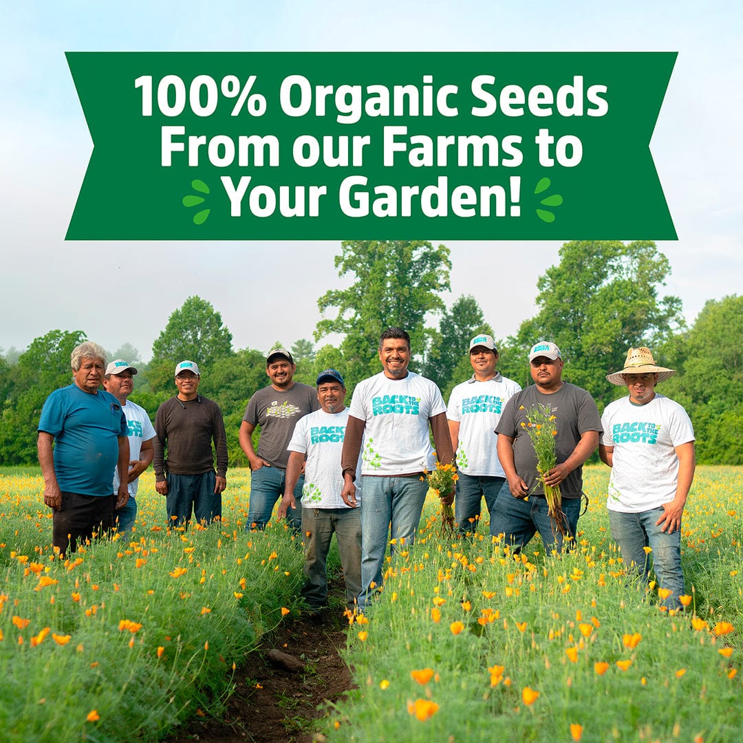 Eight people stand in a field of flowers under a sign: "100% Organic Seeds From our Farms to Your Garden!" Some wear Back to the Roots shirts. Trees behind them are perfect for growing Back to the Roots Organic Cilantro Seeds — 'Slow Bolting'.