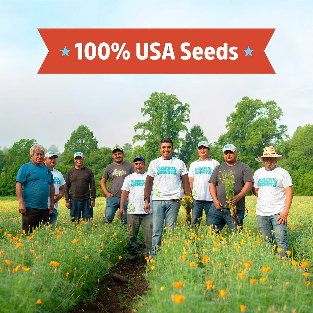 Group of gardeners standing in a blooming field of bright orange marigold flowers under a clear sky. - Organic Marigold Seeds — 'Sparky' - Default Title - Back to the Roots
