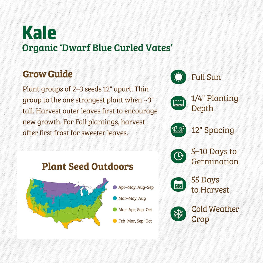 Grow guide for Back to the Roots Organic Kale Seeds — 'Dwarf Blue Curled Vates' with planting, spacing, and harvest tips, U.S. planting map, plus icons for depth, spacing, germination days, harvest time & cold hardiness.