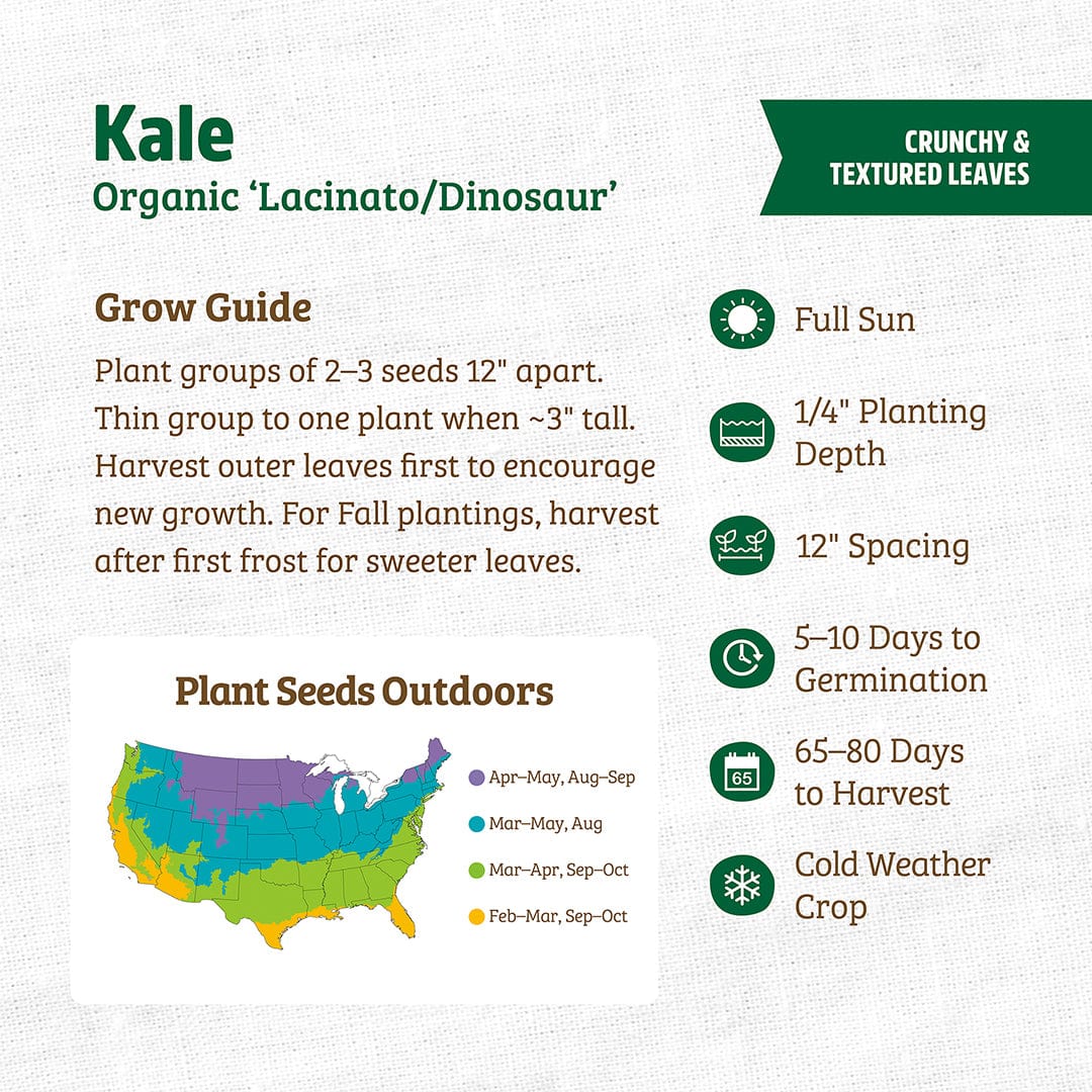 Organic Lacinato dinosaur kale seeds packet with planting and harvest instructions in green and white design. - Organic Kale Seeds — 'Lacinato/Dinosuar' - Default Title - Back to the Roots