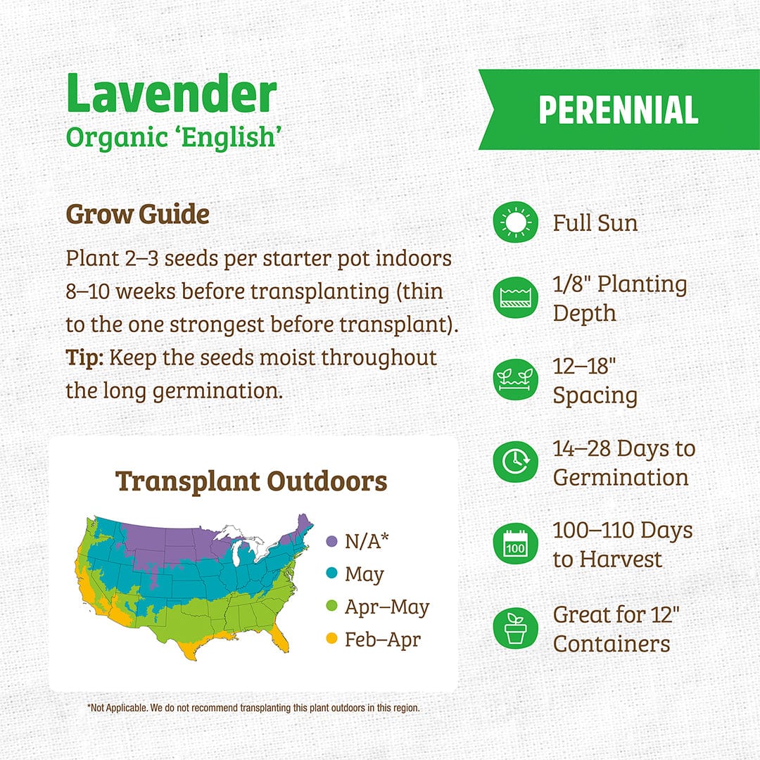 Back to the Roots Organic Lavender Seeds ('English') planting guide: full sun, 1/8" depth, 12-18" apart, harvest in 100-110 days—plus tips, timeline & transplant map for this fragrant perennial herb.