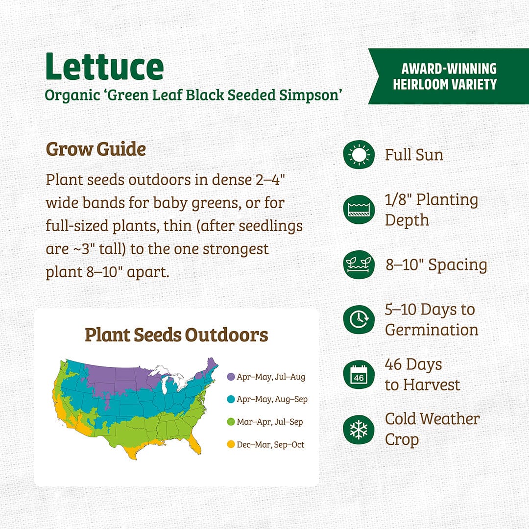 Packaging for Organic Green Leaf Black Seeded Simpson lettuce seeds with planting guide and growing tips. - Organic Lettuce Seeds — 'Green Leaf Black Seeded Simpson' - Default Title - Back to the Roots