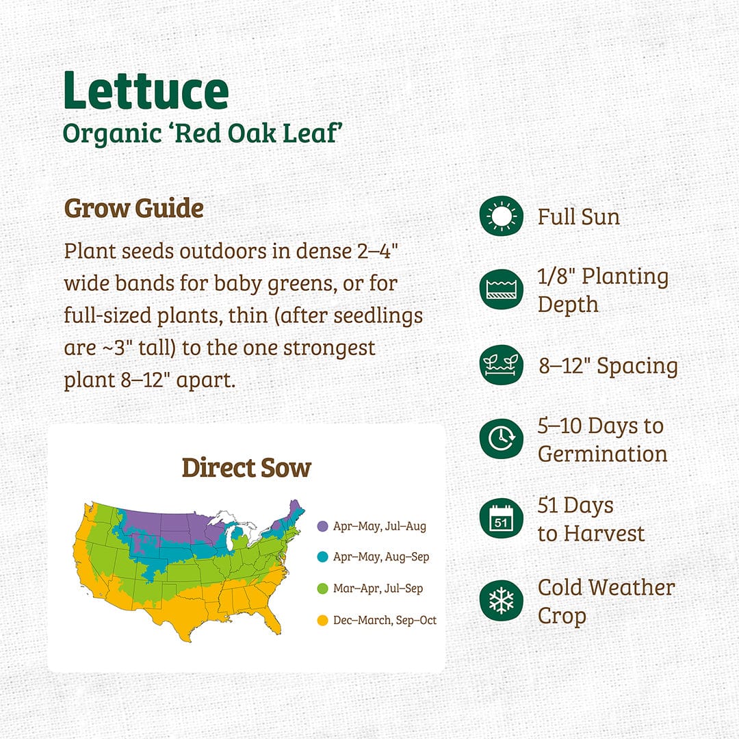 Organic Red Oak Leaf lettuce seed packet with planting and growing instructions and USDA organic certification badge. - Organic Lettuce Seeds — 'Red Oak Leaf' - Default Title - Back to the Roots