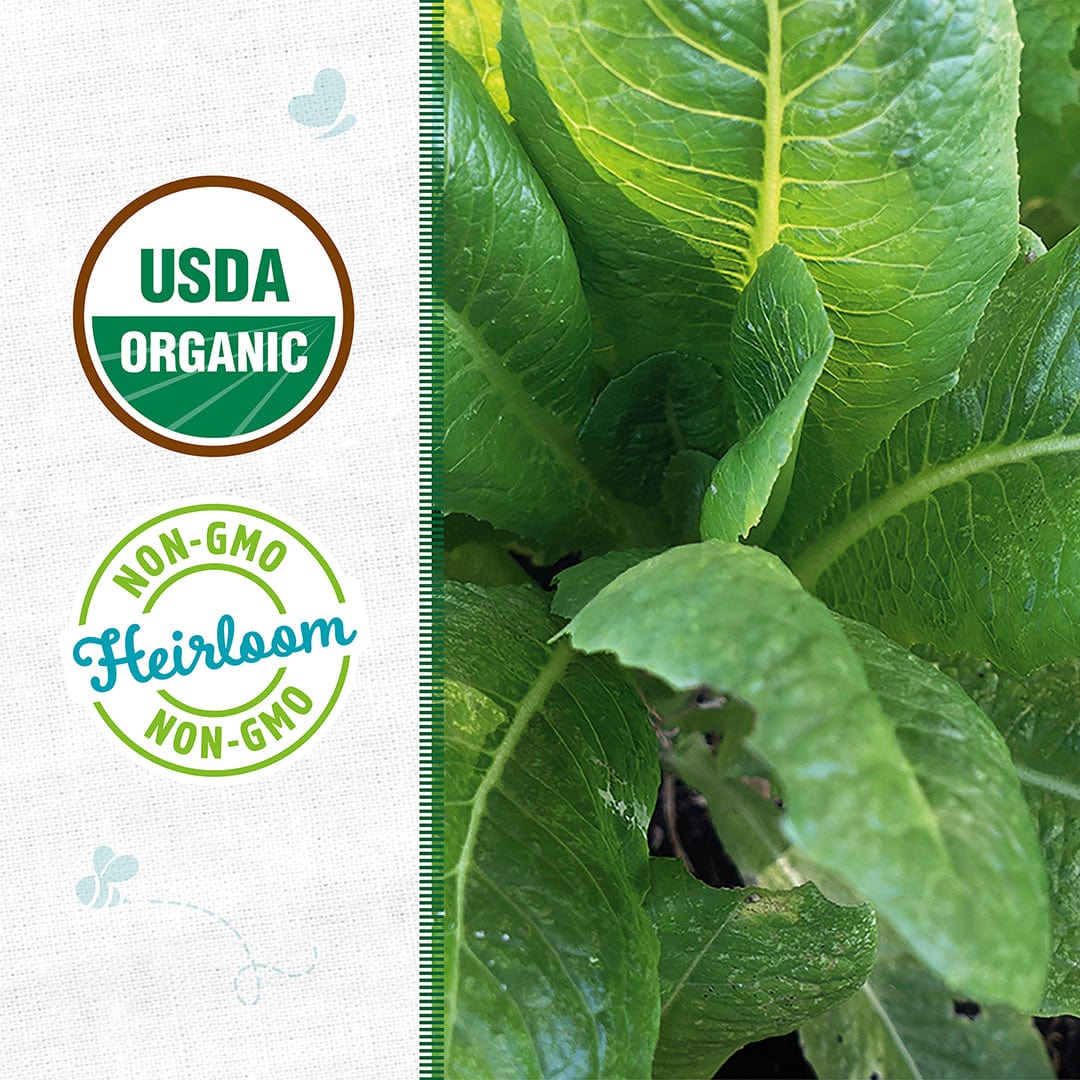 Close-up of 'Paris Isle Cos' Romaine Organic Lettuce from Back to the Roots, a cool-weather crop, with USDA Organic and Non-GMO Heirloom certification badges shown on the left.
