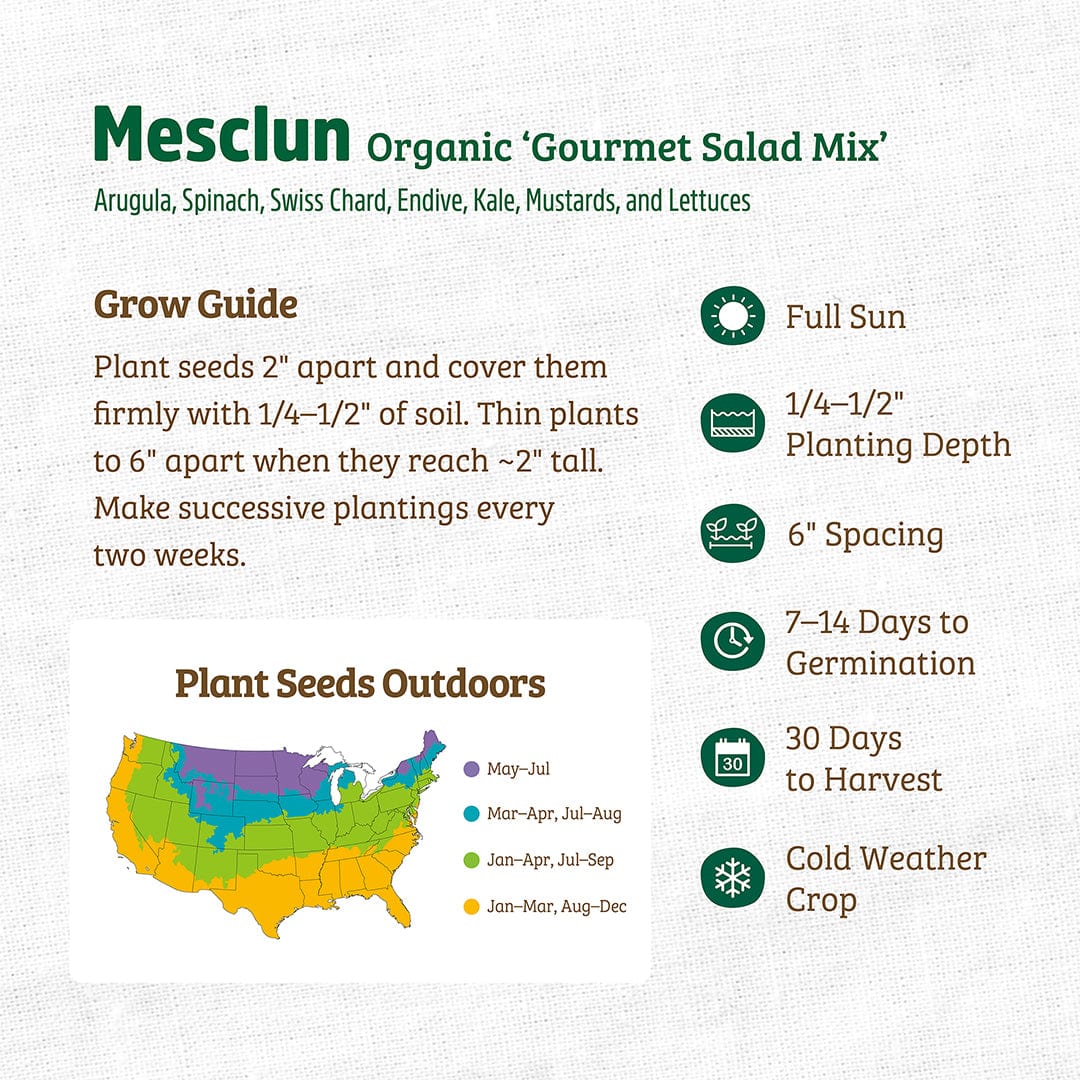 Organic Mesclun Gourmet Salad Mix seed packet with planting and growing guide details. - Organic Mesclun Seeds — 'Gourmet Salad Mix' - Default Title - Back to the Roots