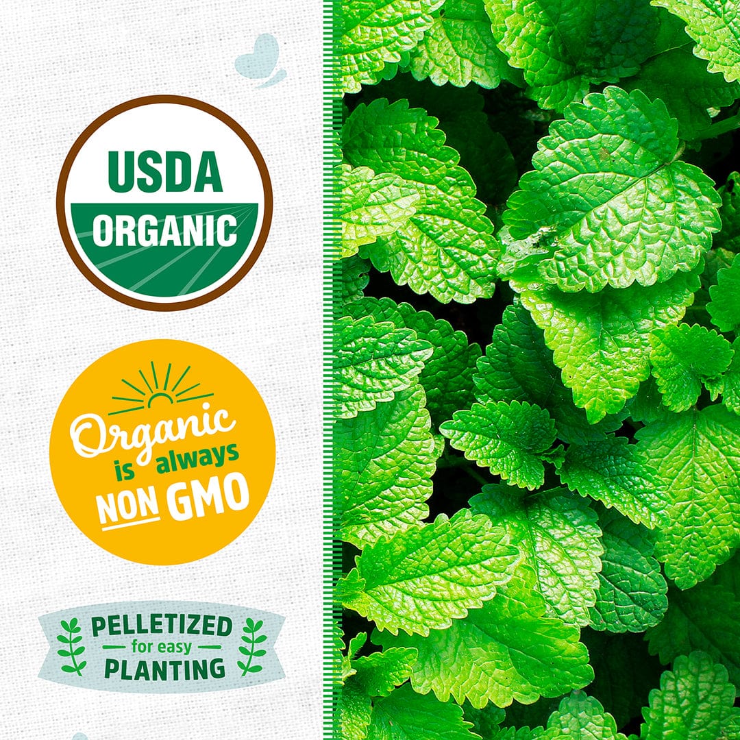 Close-up of vibrant green peppermint leaves with organic and non-GMO badges on the side. - Organic Mint Seeds — 'Peppermint' - Default Title - Back to the Roots