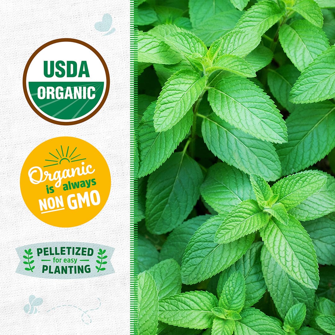 Close-up of lush green spearmint leaves with USDA Organic and Non-GMO labels on the side. - Organic Mint Seeds — 'Spearmint' - Default Title - Back to the Roots