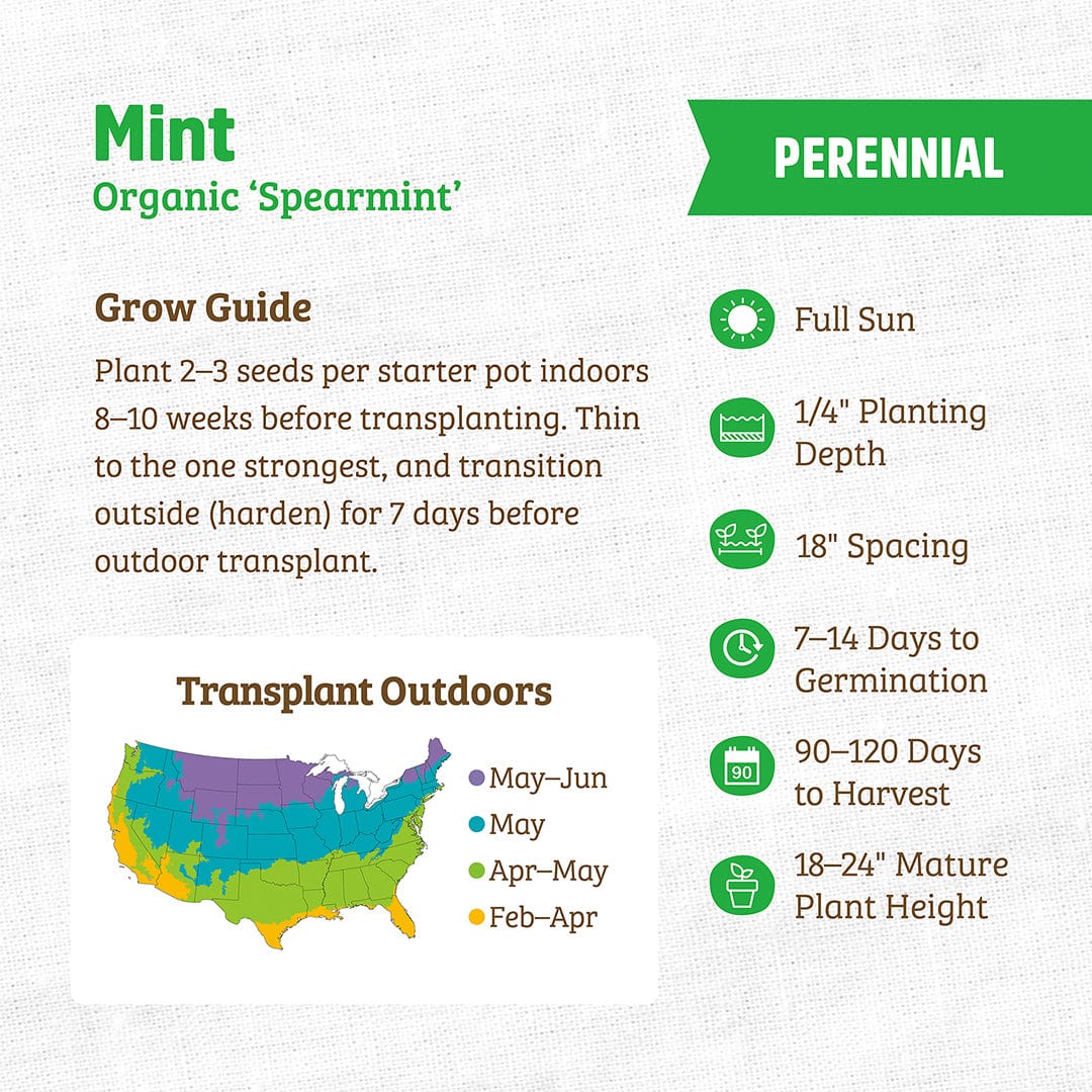 Organic spearmint seed packet with growing instructions and U.S. transplant map. - Organic Mint Seeds — 'Spearmint' - Default Title - Back to the Roots