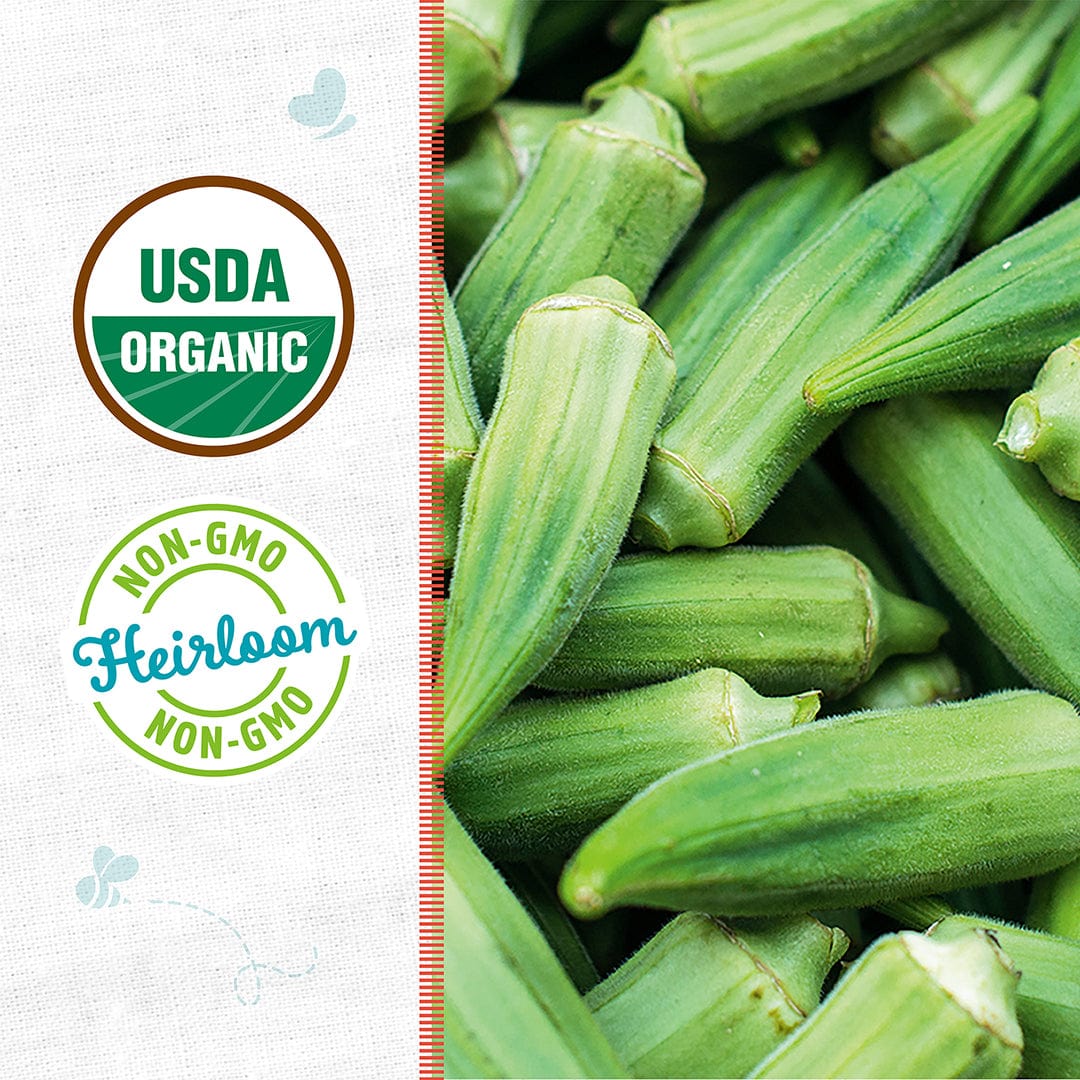 Close-up of Organic Okra Seeds — 'Clemson Spineless' by Back to the Roots, with fresh okra pods and USDA Organic & Non-GMO Heirloom labels, highlighting this warm-weather crop on a white background.