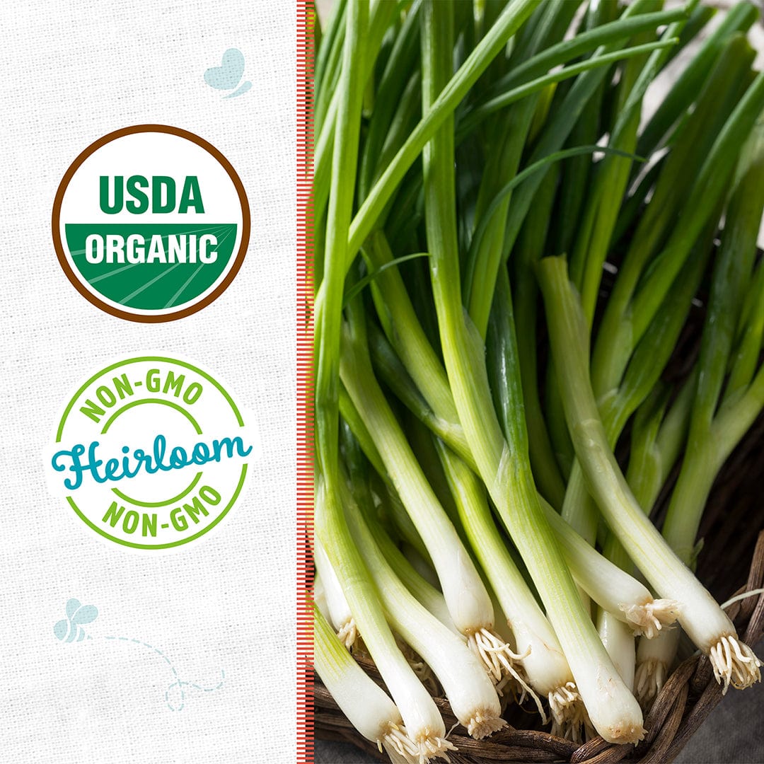 Fresh green and white bunching organic onions with USDA organic and Non-GMO heirloom labels. - Organic Onion Seeds — 'Evergreen Bunching' - Default Title - Back to the Roots
