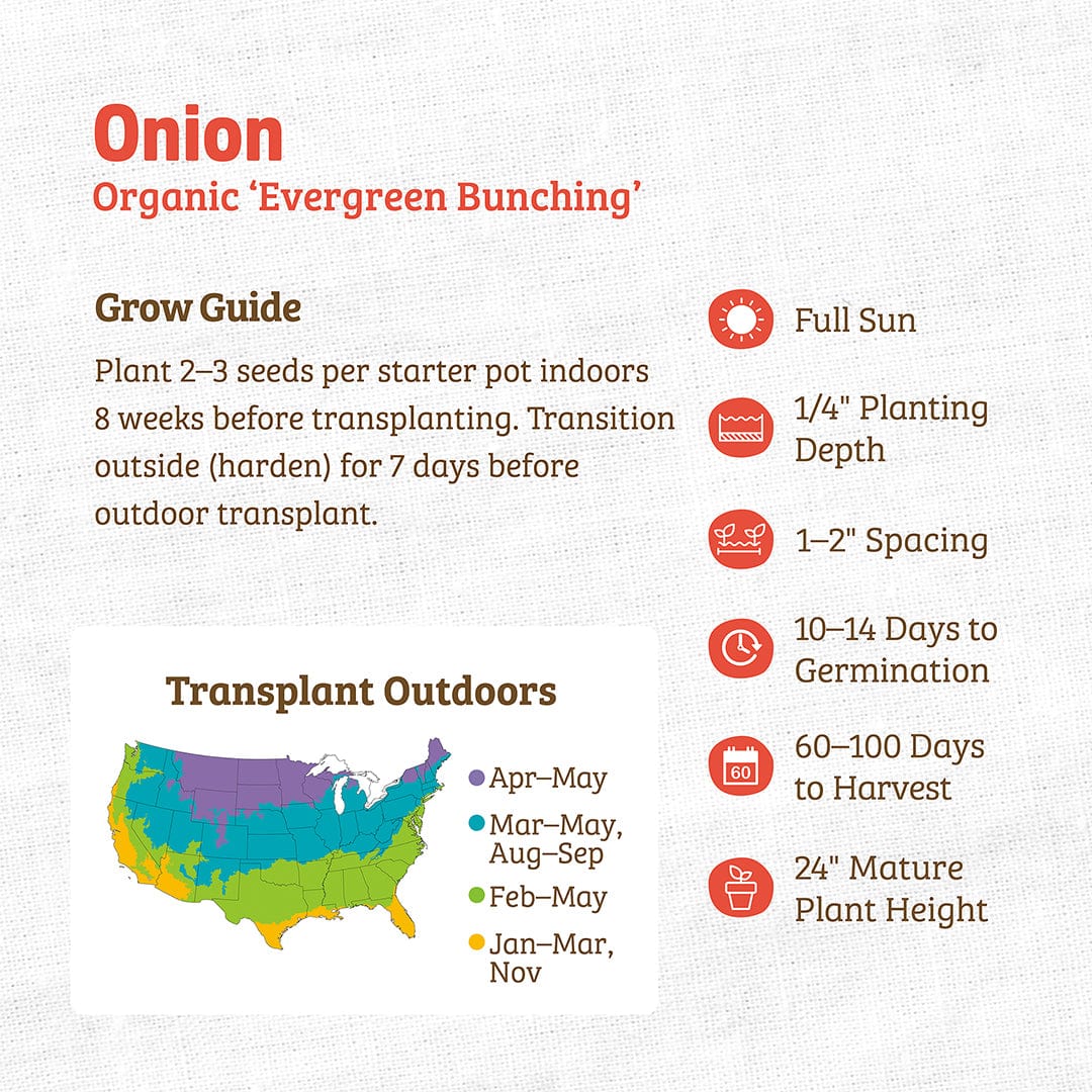 Organic Evergreen Bunching onion seed packet with planting and transplanting instructions and a US planting zone map. - Organic Onion Seeds — 'Evergreen Bunching' - Default Title - Back to the Roots