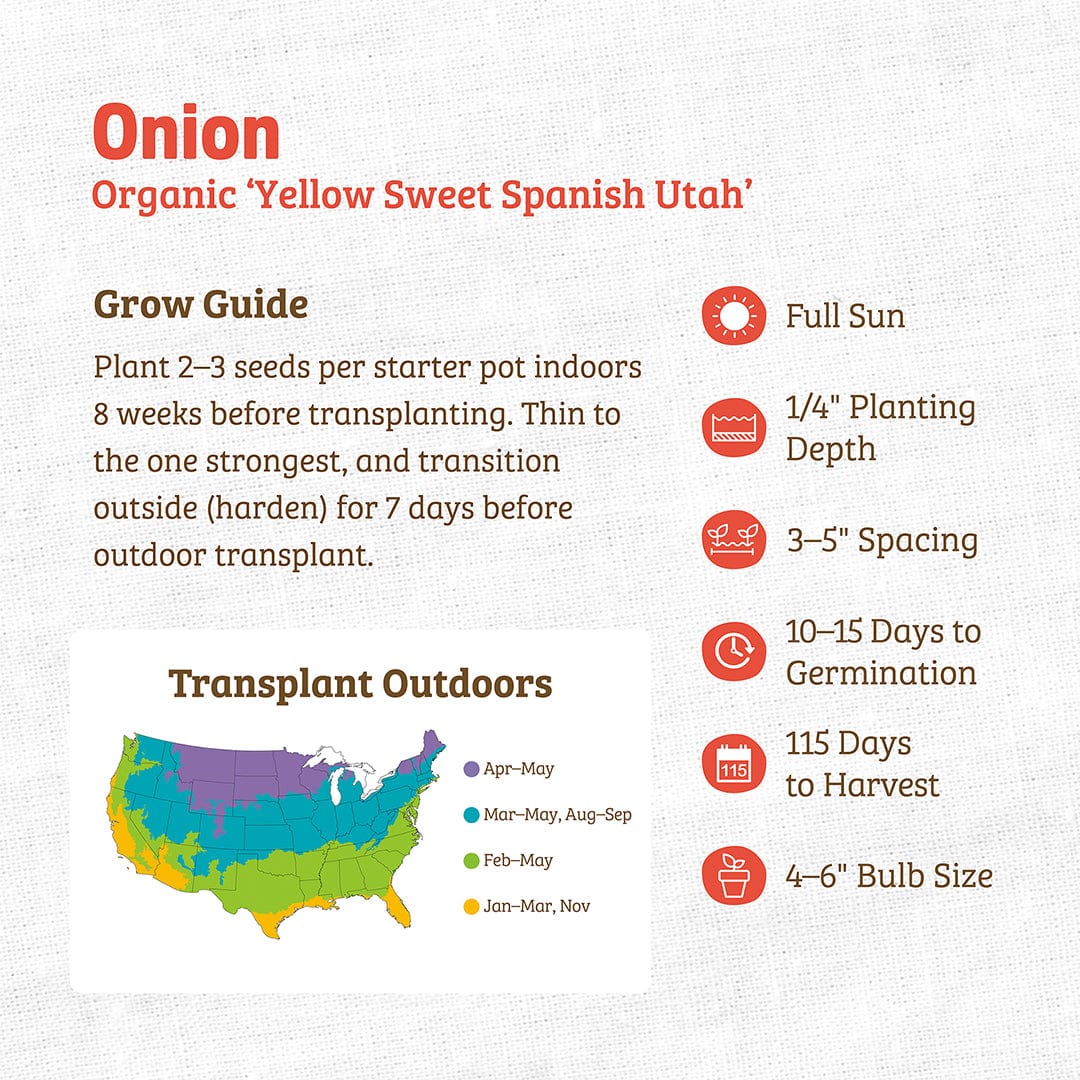 Infographic for growing Back to the Roots Organic Onion Seeds — 'Yellow Spanish Utah', including gardening tips, regional planting times, sun and soil needs, planting depth and spacing, germination info, harvest guidelines, and bulb size details.