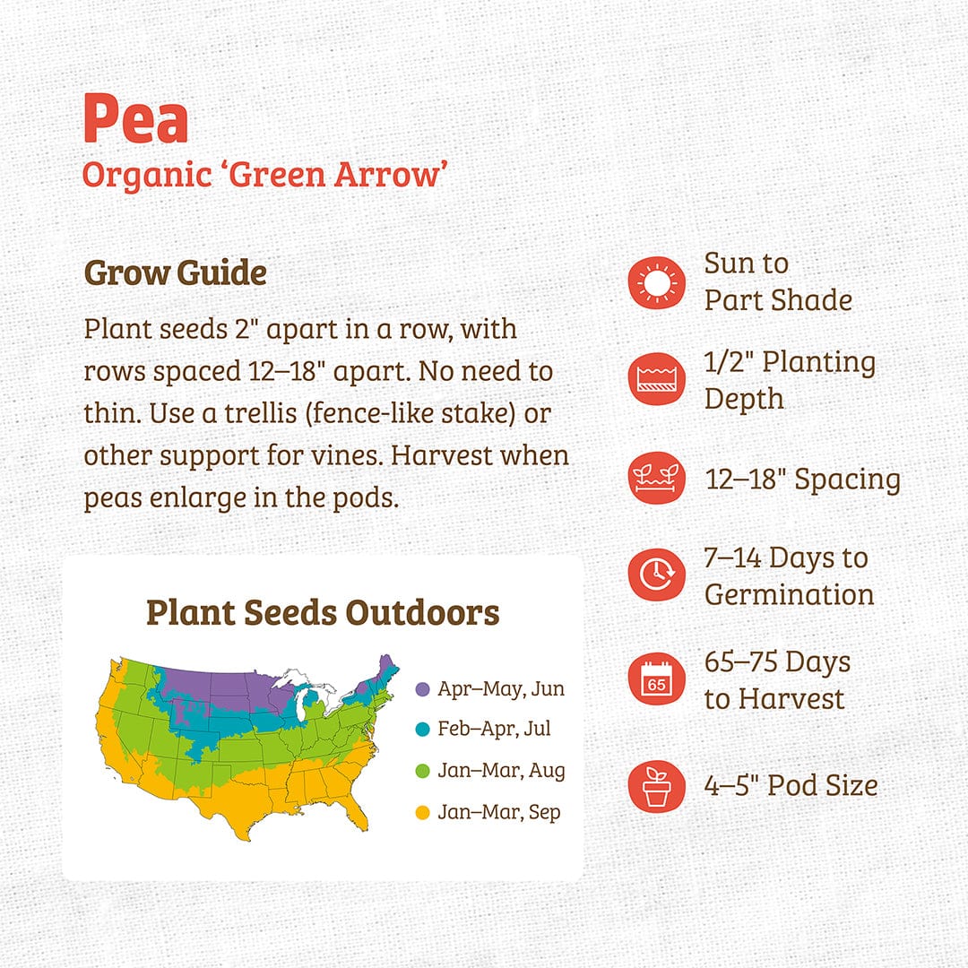 Organic Pea Seeds Green Arrow label with planting and growth instructions on beige background. - Organic Pea Seeds — 'Green Arrow' - Default Title - Back to the Roots