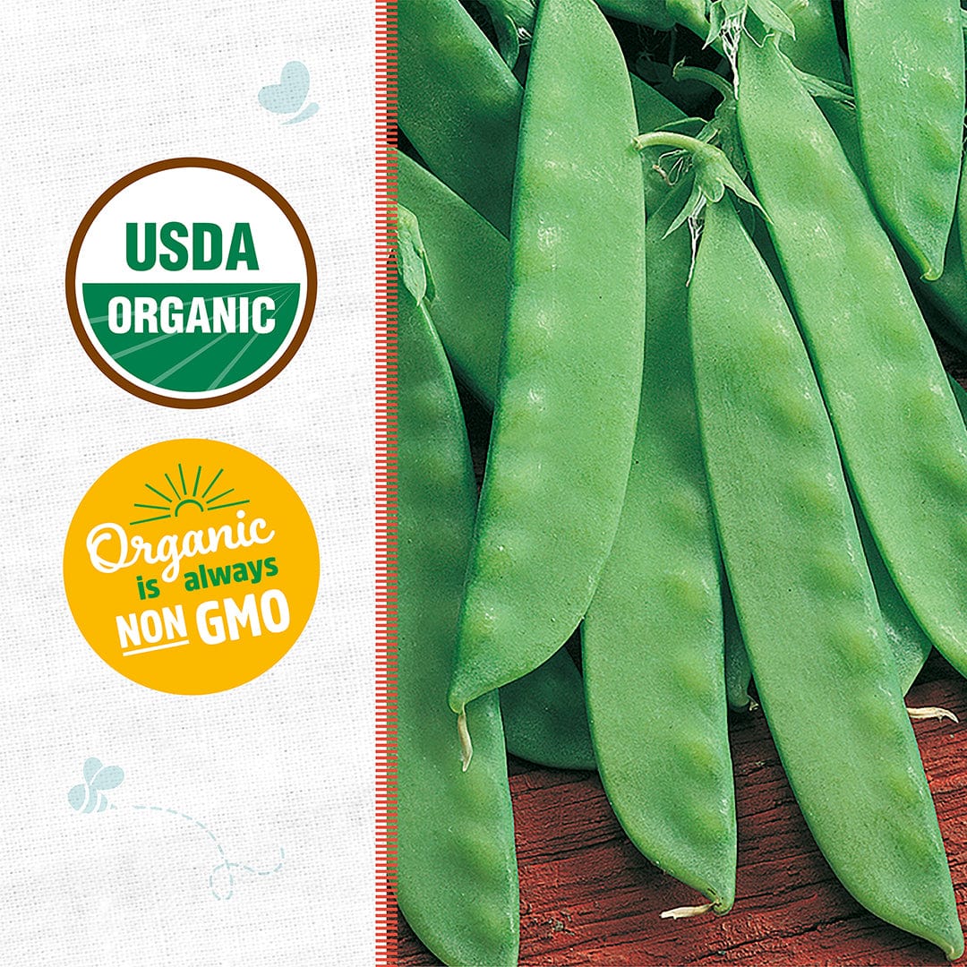 Close-up of fresh green pea pods on wooden surface with USDA Organic and Non-GMO labels on the side. - Organic Pea Seeds — 'Oregon Snow Sugar Pod II' - Default Title - Back to the Roots