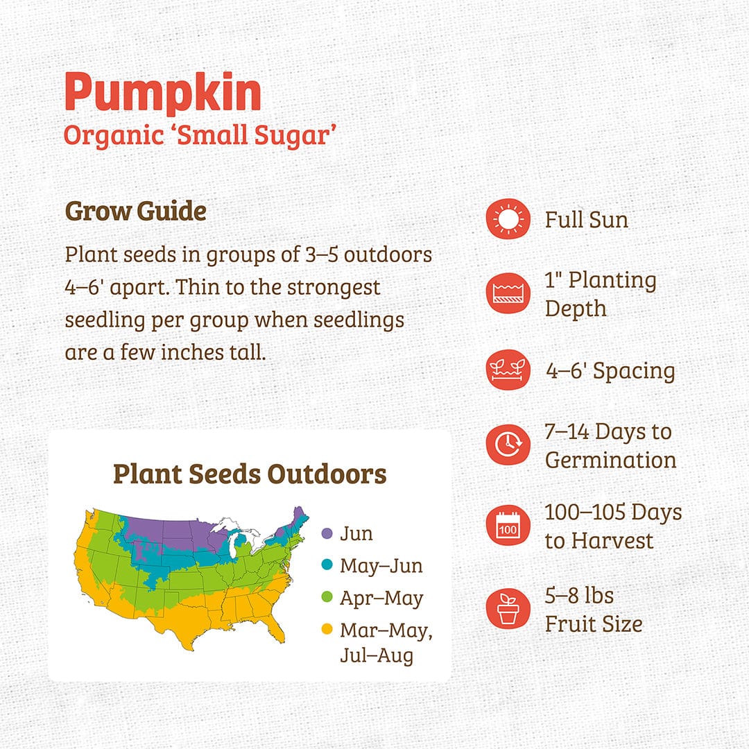 Organic Small Sugar pumpkin seeds with planting guide and regional outdoor planting map. - Organic Pumpkin Seeds — 'Small Sugar' - Default Title - Back to the Roots
