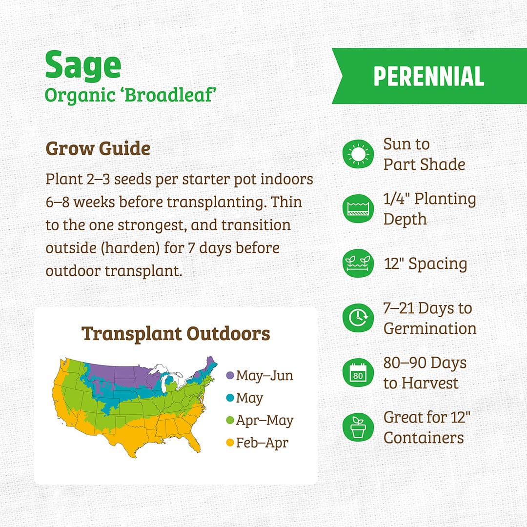 Discover how to grow Organic Sage Seeds—'Broadleaf' from Back to the Roots with this guide: includes transplant map, planting depth, spacing, germination and harvest times, and container tips. Use with our grow calendar for easy planning.