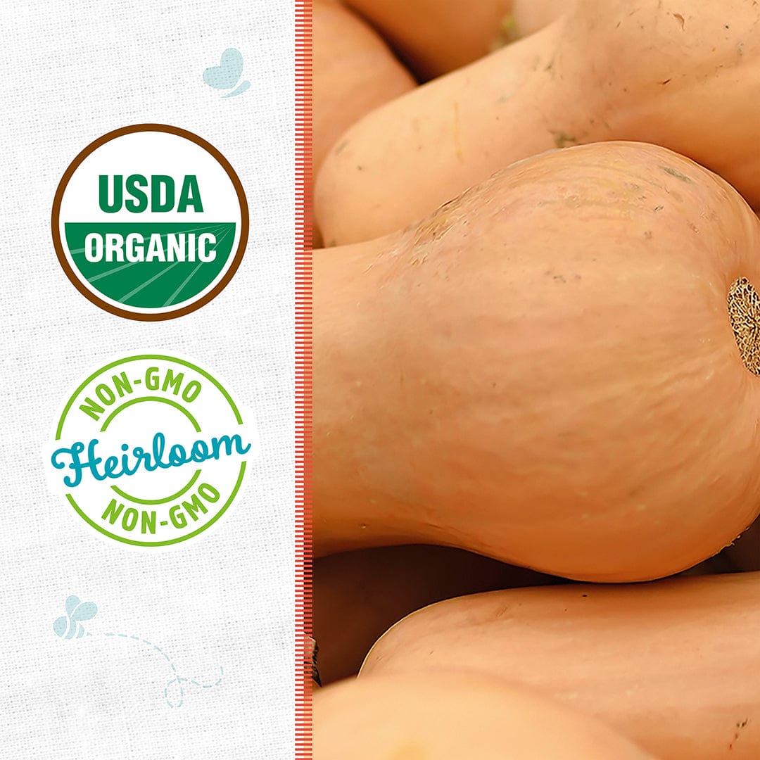 Close-up of smooth, pale orange Waltham butternut squash with organic and non-GMO badges on the side. - Organic Squash Seeds — 'Waltham Butternut' - Default Title - Back to the Roots