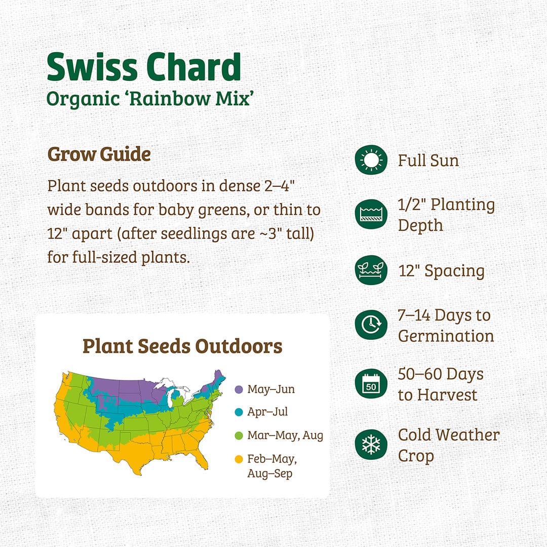 Organic Swiss chard seed packet featuring colorful rainbow mix leaves and planting guide details. - Organic Swiss Chard Seeds — 'Rainbow Mix' - Default Title - Back to the Roots