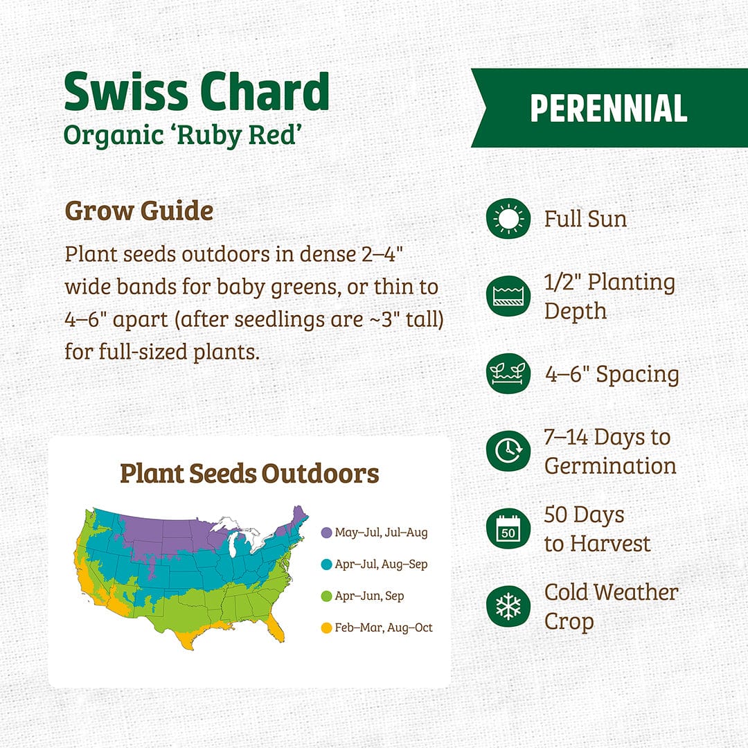 Organic Ruby Red Swiss chard seed packet with growing instructions and planting zone map. - Organic Swiss Chard Seeds — 'Ruby Red' - Default Title - Back to the Roots